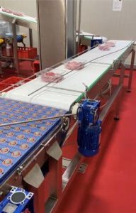 SISTEM BENZI TRANSPORTOARE PENTRU FABRICA PROCESARE CARNE1