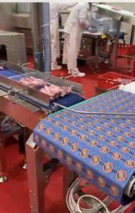 SISTEM BENZI TRANSPORTOARE PENTRU FABRICA PROCESARE CARNE2