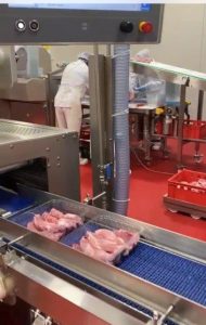 SISTEM BENZI TRANSPORTOARE PENTRU FABRICA PROCESARE CARNE3