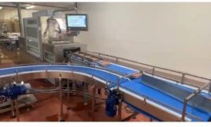 SISTEM BENZI TRANSPORTOARE PENTRU FABRICA PROCESARE CARNE4