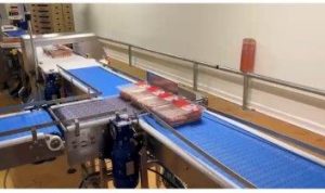 SISTEM BENZI TRANSPORTOARE PENTRU FABRICA PROCESARE CARNE5