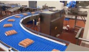SISTEM BENZI TRANSPORTOARE PENTRU FABRICA PROCESARE CARNE6